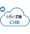 Лицензия Mikrotik Cloud Hosted Router P10 - Лицензии и сертификаты