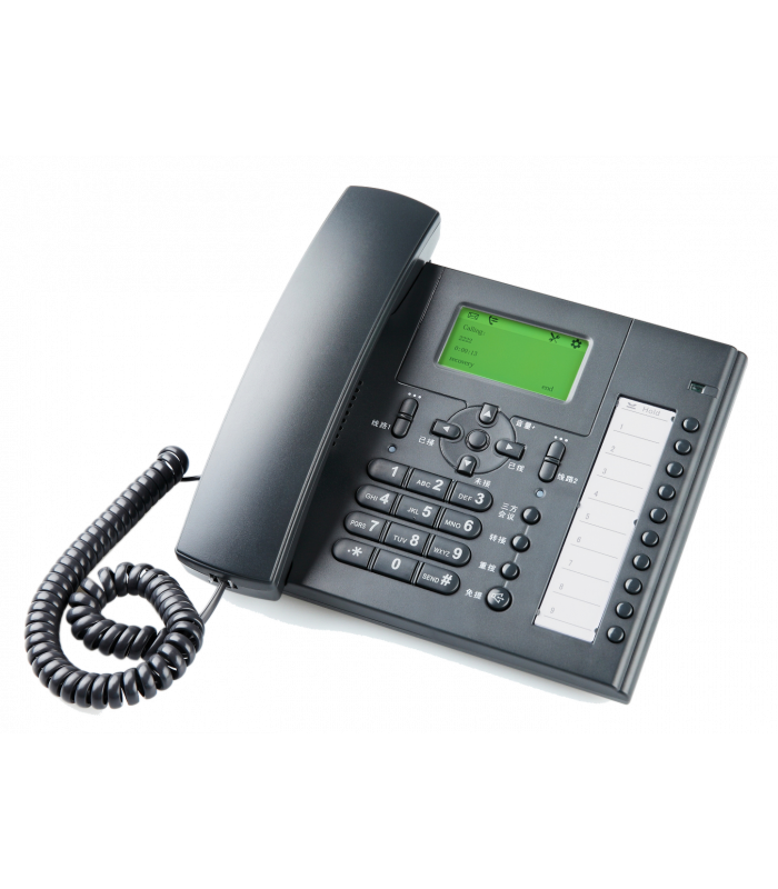 Escene US102-PYN - IP Телефон